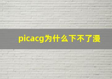 picacg为什么下不了漫