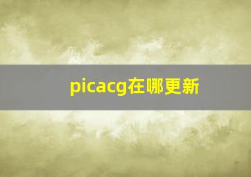 picacg在哪更新