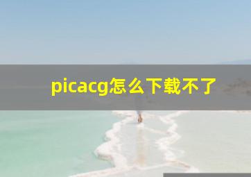 picacg怎么下载不了