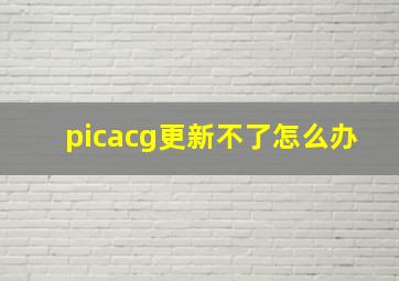 picacg更新不了怎么办