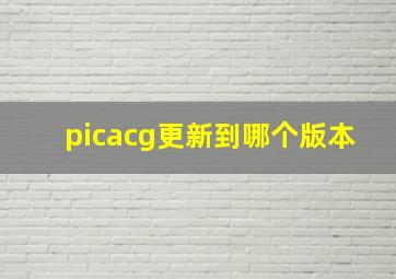 picacg更新到哪个版本