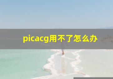 picacg用不了怎么办