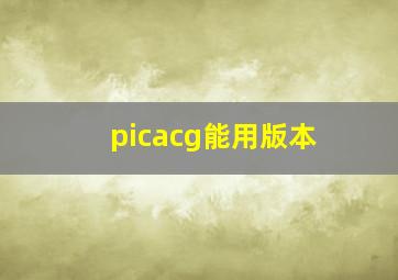 picacg能用版本