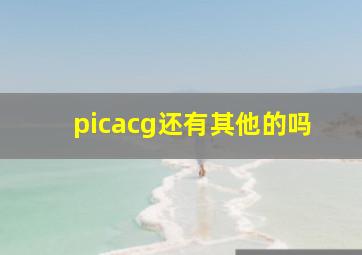 picacg还有其他的吗