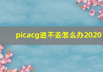 picacg进不去怎么办2020