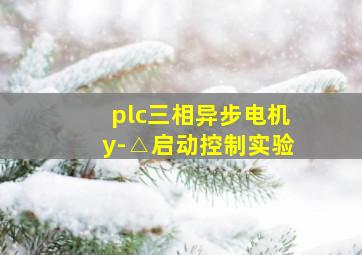 plc三相异步电机y-△启动控制实验