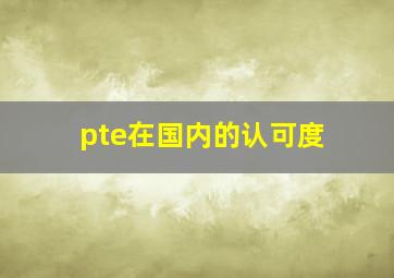 pte在国内的认可度