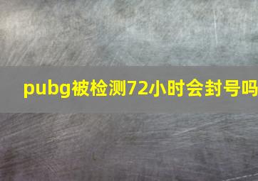 pubg被检测72小时会封号吗