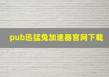 pub迅猛兔加速器官网下载