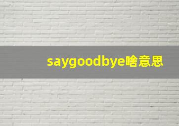 saygoodbye啥意思