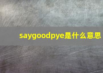 saygoodpye是什么意思