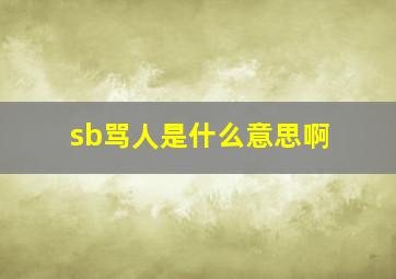 sb骂人是什么意思啊