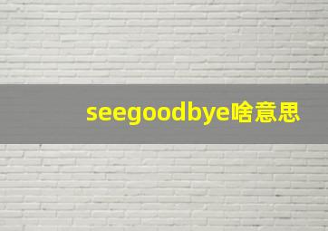 seegoodbye啥意思