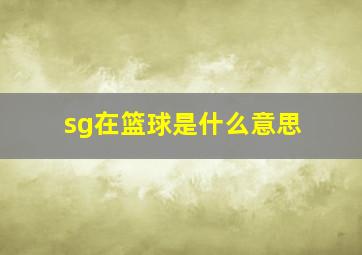 sg在篮球是什么意思