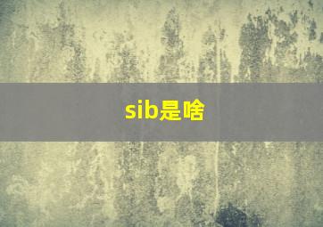 sib是啥