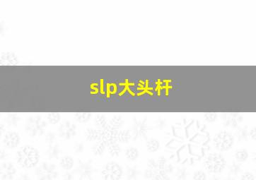 slp大头杆