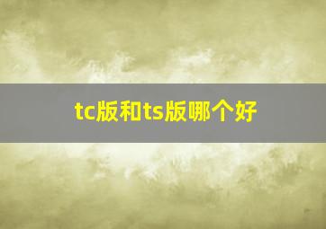 tc版和ts版哪个好