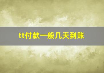 tt付款一般几天到账