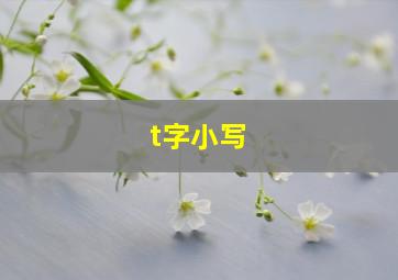 t字小写