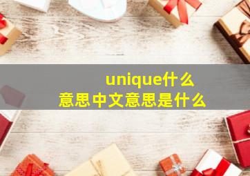 unique什么意思中文意思是什么