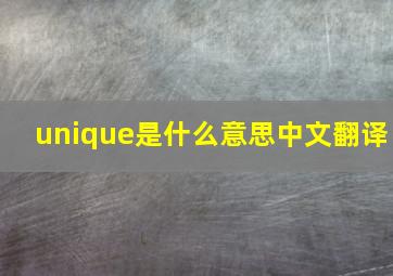 unique是什么意思中文翻译