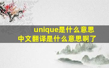 unique是什么意思中文翻译是什么意思啊了