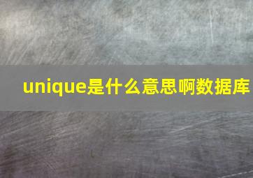 unique是什么意思啊数据库