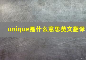 unique是什么意思英文翻译