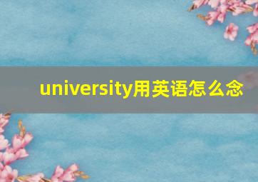 university用英语怎么念