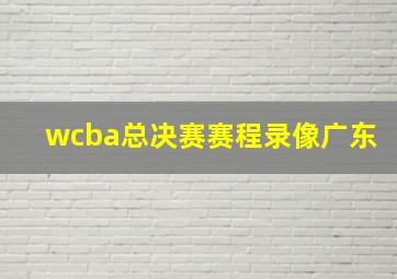 wcba总决赛赛程录像广东