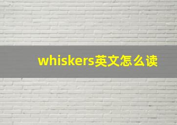 whiskers英文怎么读