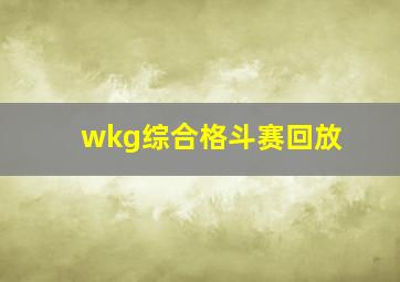 wkg综合格斗赛回放