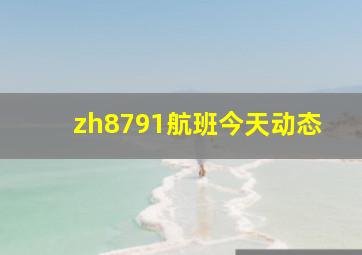 zh8791航班今天动态