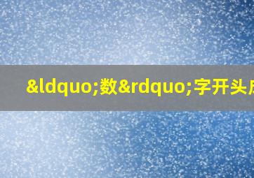 “数”字开头成语