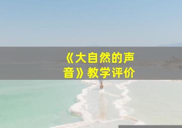 《大自然的声音》教学评价