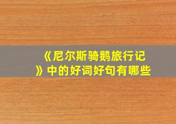 《尼尔斯骑鹅旅行记》中的好词好句有哪些