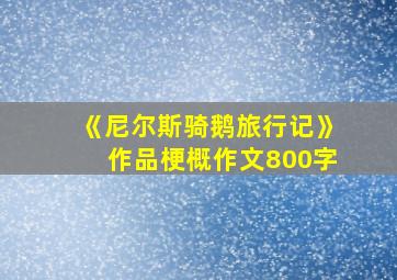 《尼尔斯骑鹅旅行记》作品梗概作文800字