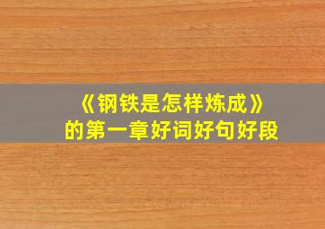 《钢铁是怎样炼成》的第一章好词好句好段