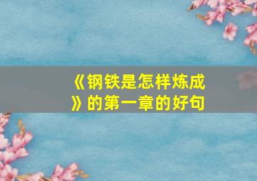 《钢铁是怎样炼成》的第一章的好句