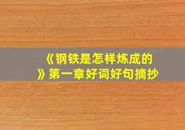 《钢铁是怎样炼成的》第一章好词好句摘抄