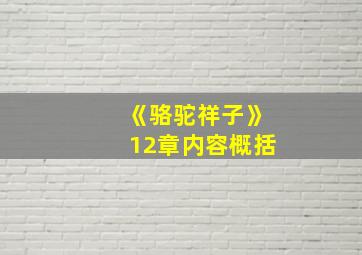 《骆驼祥子》12章内容概括