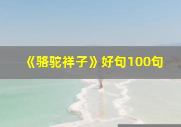 《骆驼祥子》好句100句