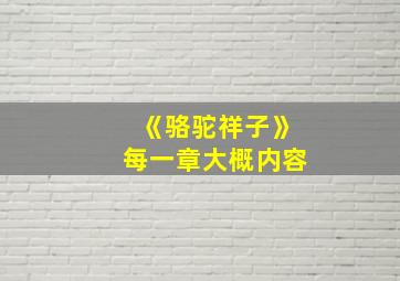 《骆驼祥子》每一章大概内容