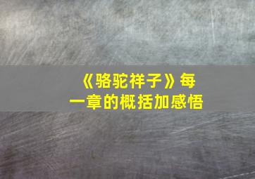 《骆驼祥子》每一章的概括加感悟