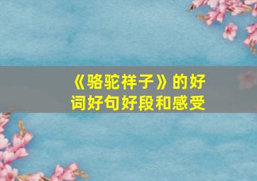 《骆驼祥子》的好词好句好段和感受