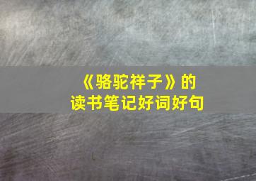 《骆驼祥子》的读书笔记好词好句