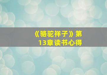 《骆驼祥子》第13章读书心得