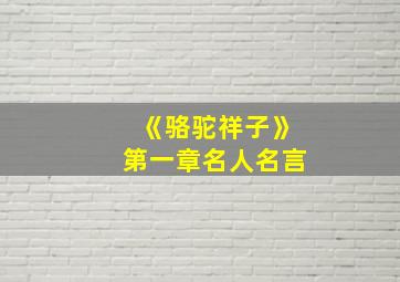 《骆驼祥子》第一章名人名言