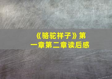 《骆驼祥子》第一章第二章读后感