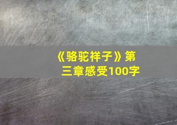 《骆驼祥子》第三章感受100字